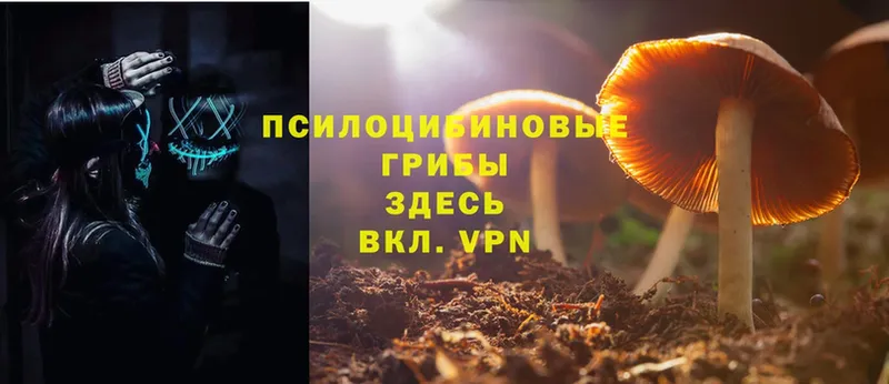 как найти закладки  OMG зеркало  Галлюциногенные грибы Psilocybe  Новоузенск 